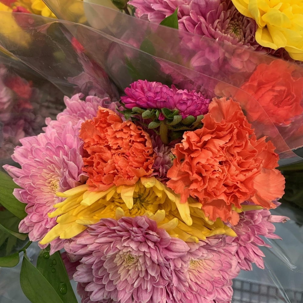 Meet your Posher, K's Closet